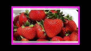 Erdbeeren pflanzen Tipps zur richtigen Pflege und Ernte [upl. by Luwana]