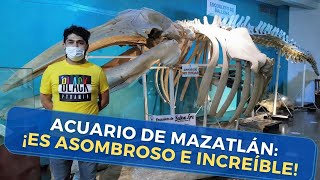 Acuario de Mazatlán Paquete Premium  ¡Amé el pingüinario [upl. by Halik]