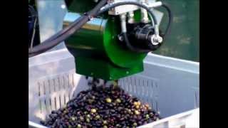 Aspiratore olive CRF da bins 2012wmv [upl. by Ahael]