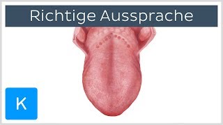 Anatomische Begriffe richtig aussprechen 4 Tipps  Anatomie des Menschen  Kenhub [upl. by Oilime]