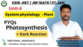 PYQs  Dark Reaction of Photosynthesis  CSIRNETJRF Life Sciences  L7 [upl. by Ibot]