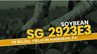 Shocking Soybean Yield Results SG 2923 E3 Outperforms Expectations [upl. by Annav]