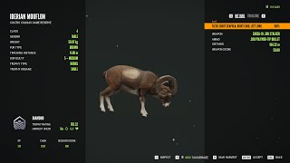 Iberian Mouflon  5Diamond  theHunter Call of the Wild 2024 02 01 [upl. by Malory]