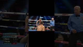 Oscar Valdez vs Liam Wilson  WBO Interim Junior Lightweight Title Fight Highlights [upl. by Cornwell]