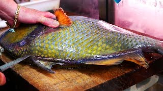 Japanese Street Food  GIANT TITAN TRIGGERFISH Sashimi Seafood Okinawa Japan [upl. by Ydniw]