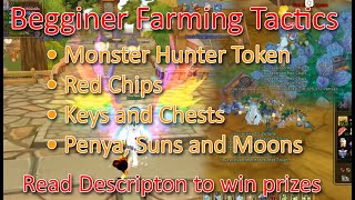 Insanity Flyff  Beginner Farming Tactics [upl. by Crompton139]