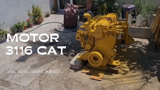 🔥Ajuste de motor 3116 Cat💯🔥 joelfixit heavymachinery caterpillar motor3116mecanic vivamexico [upl. by Slrahc]