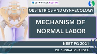 Mechanism of Normal Labor  NEET PG 2021  Dr Shonali Chandra [upl. by Annodal]