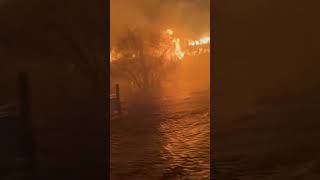 Search and rescue teams looking for hurricane survivors amid raging fire shorts [upl. by Jaffe847]