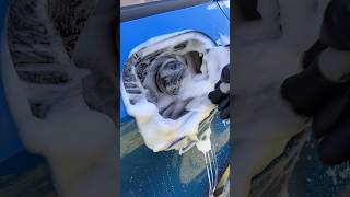 Car Detailing Clean those DIRTY Flaps… satisfying detailing [upl. by Atsylac996]