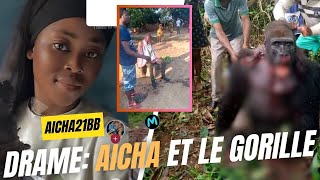 ELLE PART GBASSER SON EX ET MEURT Aicha  AFFAIRE DU GORILLE QUI ATTAQUE UN CULTIVATEUR [upl. by Mahmoud985]