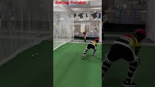 Batting drill Pull shot [upl. by Anahsal]