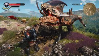 Witcher 3  Fast Draconid Nest 💀☠️🐎🐉🐲🕶️ [upl. by Akihsal]