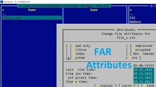 FAR Manager File Attributes [upl. by Sirron]