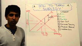 Subsidy [upl. by Sapers]