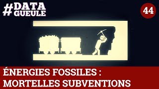 Énergies fossiles  mortelles subventions  DATAGUEULE 44 [upl. by Ettenil]