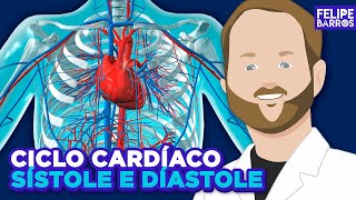 ANATOMIA CARDÍACA E MOMENTOS DE CONTRAÇÃO Sístole e Diástole [upl. by Ardrey]