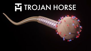 Trojan Horse The Future of Cancer Treatment  ExploraVision 2023 National Finalist [upl. by Harmon]