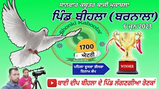 🔴Live🔴 Kabootar Bazi Pind BihlaBarnala  Live Kabootar Bazi Today  Live Kabootar Bazi 2023 [upl. by Weingarten]