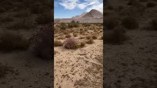 Mojave Tribal Land 1 Introduction Yahcalo Ndigena Nation Yahcalo Ndigena [upl. by Ridglea]