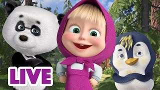 🔴 LIVE 🐻👧 Masha y el Oso 2023 😎🌟🐧Cuando tienes hermanos 🐼🎬 Masha and the Bear [upl. by Dnumyar]