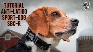 Tutorial SportDOG SBCR No Bark Collar  Overview em Portugues Brasil [upl. by Lalad]