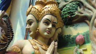 Divine Guided Vedic Meditation English  Om Swami [upl. by Dorolisa643]