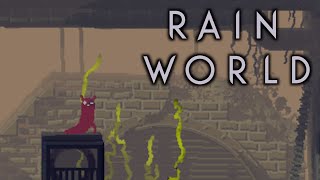 Rain World Various slugcats [upl. by Marceau755]