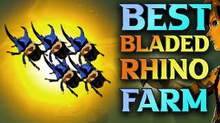 Tears Of The Kingdom Bladed Rhino Beetle Farm Locations [upl. by Kendell219]