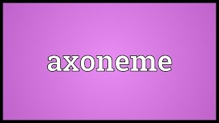 Axoneme Meaning [upl. by Ros]