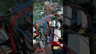 POV The most extreme roller coaster at Busch Gardens 🎢 [upl. by Annahgiel]