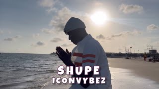 ICONVYBEZ  SHUPE  VISUALIZER [upl. by Thibault]