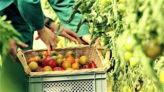 Schönes Landleben in MecklenburgVorpommern [upl. by Mehsah]