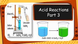 Chemistry – Metallic and nonmetallic oxides  Acids bases and salts  Part 3  English [upl. by Pleasant414]