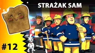 STRAĹ»AK SAM  GRY DLA DZIECI  POWTĂ“RKA WSZYSTKICH ODCINKĂ“W FIREMAN SAM [upl. by Robertson258]