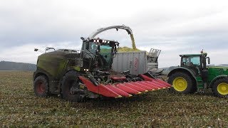 Kolbenfresser  Claas Jaguar 970 bei der Lieschkolbensilage  Maisernte 2018  LKS [upl. by Adiaros666]