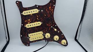 HSS Prewired Pickguard Loaded with Alnico 5 pickups [upl. by Janie]