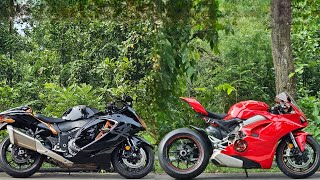 Ducati Panigale V4 races against Suzuki Hayabusa  Fast amp Fun Sunday Ride [upl. by Mahtal811]