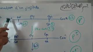 Biochimie Structural SVIS3 Équations dionisation dun peptide et calcule de pHi [upl. by Hett198]