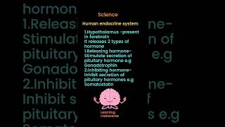 Human Endocrine System Hypothalamus endocrinesystem [upl. by Grussing]