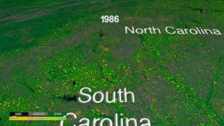 A Quarter Century US Forest Disturbance History from Landsat – the NAFDNEX Products [upl. by Elynad]