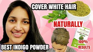 Turn White Hair To Black Naturally Best Indigo Powder  100 Works  Shruthi Diaries [upl. by Groark]