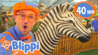 Blippi Learns Jungle Animals  Animals For Kids  Educational Videos For Children [upl. by Joyann]