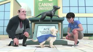 Pip  A Short Animated Film  animated short film explained in Hindi [upl. by Smail184]