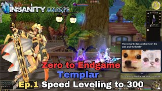 Insanity FlyFF  ZTE Templar Series Ep1  Speed Leveling [upl. by Cheung812]