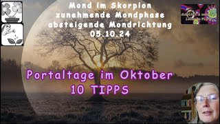 Portaltage im Oktober  10 Tipps wie du damit umgehen kannst [upl. by Hteik400]