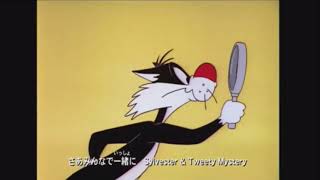 The Sylvester and Tweety Mysteries intro  JAPANESE CARTOON NETWORK AIRING [upl. by Irtimed]