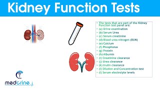 Kidney Function Tests and Interpretation of Results [upl. by Balkin]