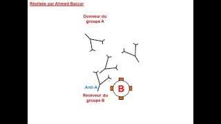 Mécanisme de lhémagglutination [upl. by Maddox]