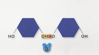 Dehydration synthesis and hydrolysis [upl. by Neleb]